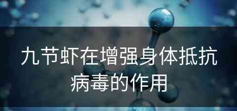 九节虾在增强身体抵抗病毒的作用